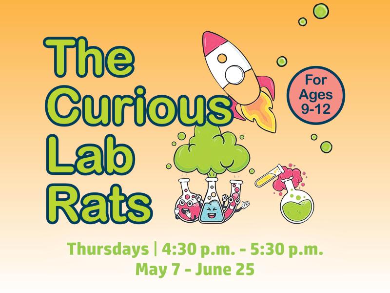 Curious Lab Rats
