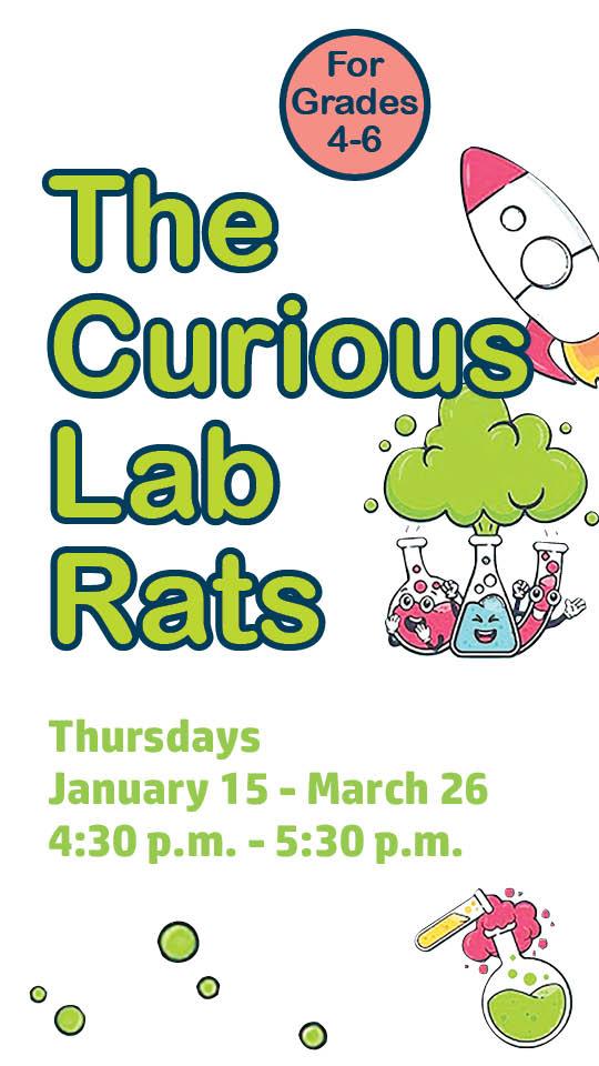 lab rats