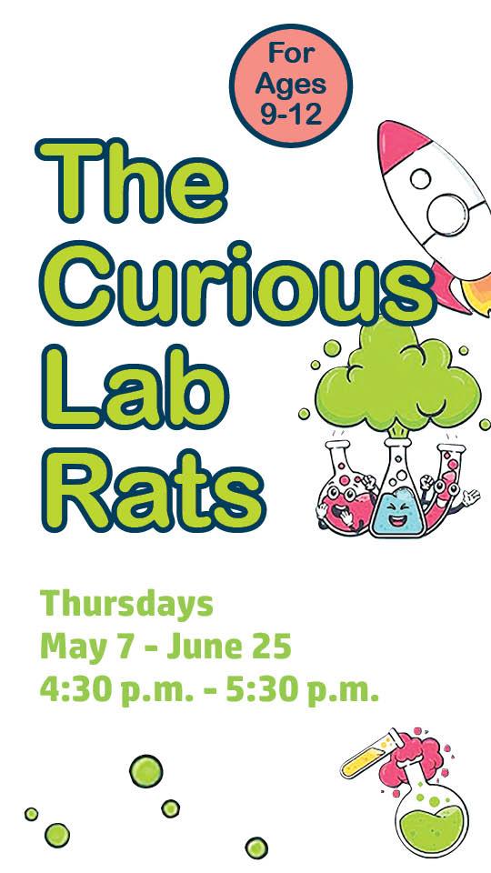 lab rats